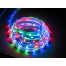 DC12V RGB Digital Ws2811 Color LED Christmas Light for Holiday